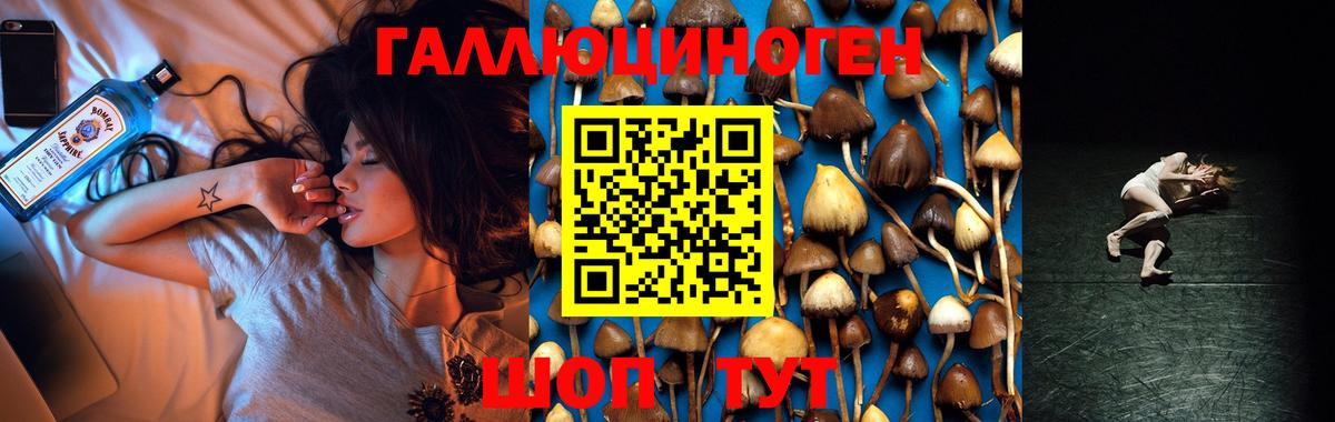 Галлюциногенные грибы Psilocybine cubensis Кулебаки